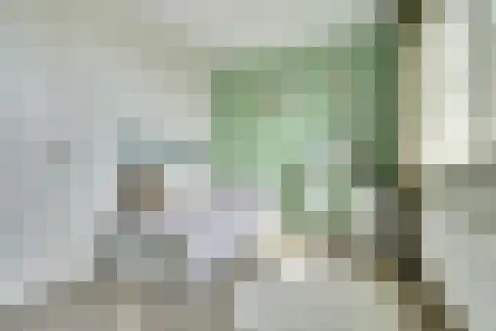 Putwei 25 Hilvarenbeek thumbnail 22