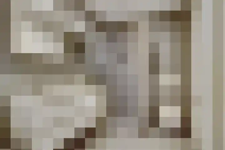 Putwei 25 Hilvarenbeek thumbnail 25