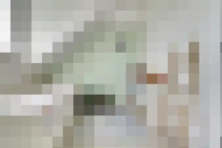 Putwei 25 Hilvarenbeek thumbnail 27