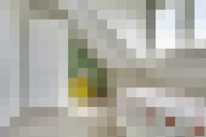 Putwei 25 Hilvarenbeek thumbnail 28