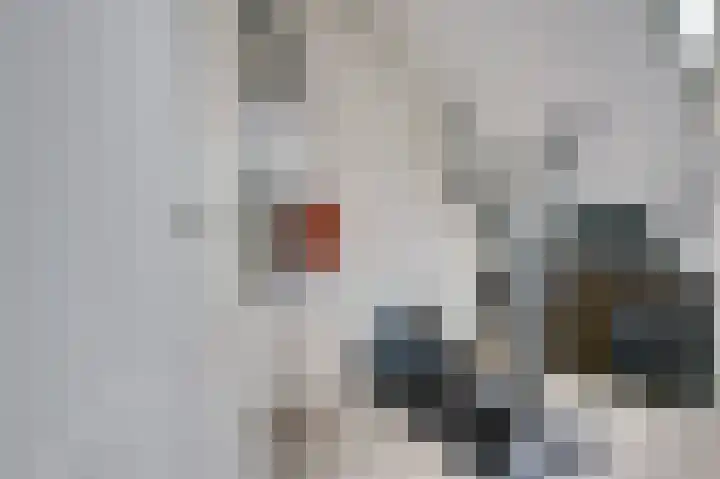 Putwei 25 Hilvarenbeek thumbnail 29