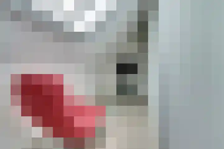 Putwei 25 Hilvarenbeek thumbnail 30