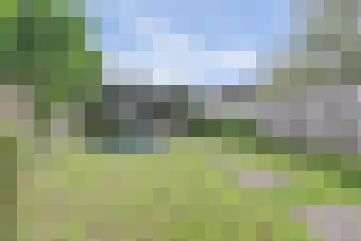 Putwei 25 Hilvarenbeek thumbnail 32