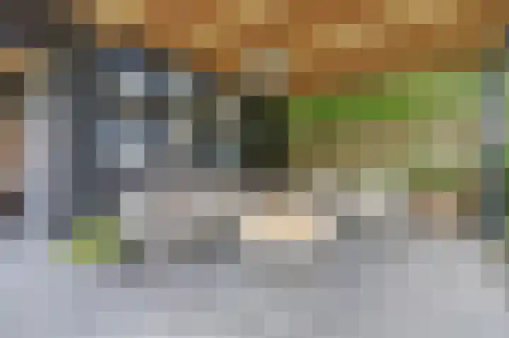 Putwei 25 Hilvarenbeek thumbnail 34