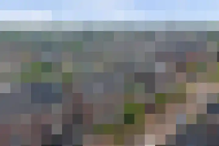Putwei 25 Hilvarenbeek thumbnail 36