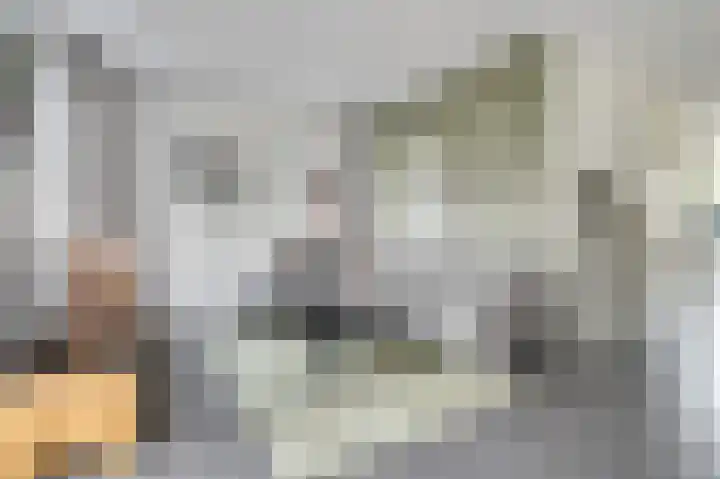 Putwei 25 Hilvarenbeek thumbnail 8