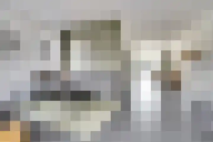 Putwei 25 Hilvarenbeek thumbnail 9