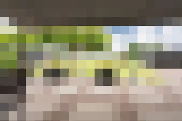 Puurveenseweg 28 Kootwijkerbroek thumbnail 37