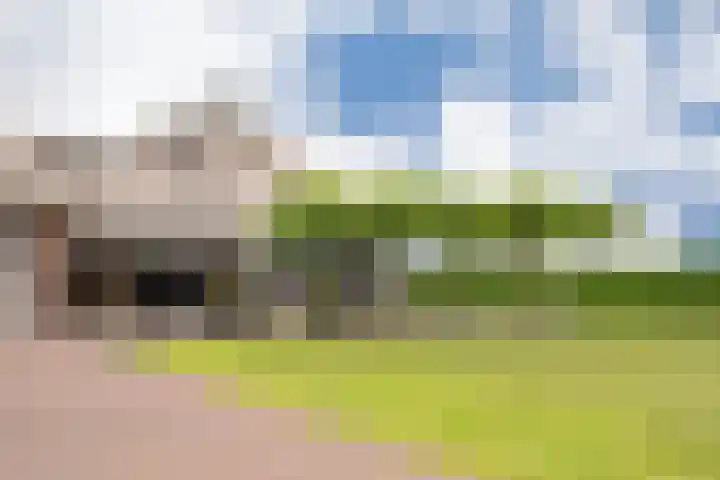 Puurveenseweg 28 Kootwijkerbroek thumbnail 4