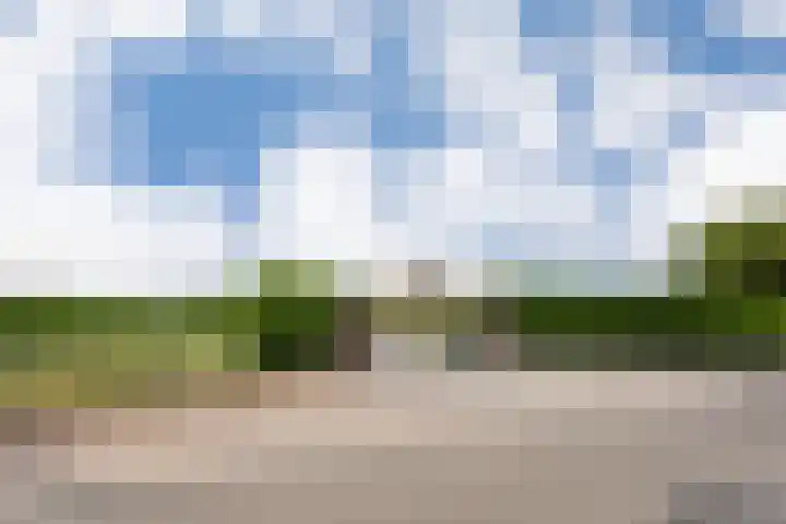 Puurveenseweg 28 Kootwijkerbroek thumbnail 6