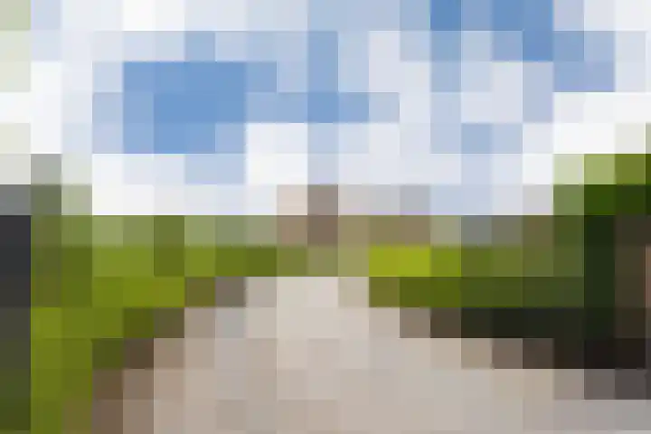 Puurveenseweg 28 Kootwijkerbroek thumbnail 7