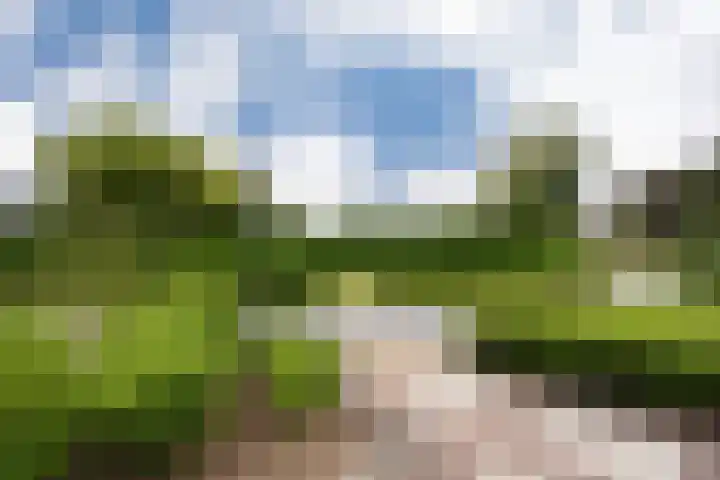 Puurveenseweg 28 Kootwijkerbroek thumbnail 8
