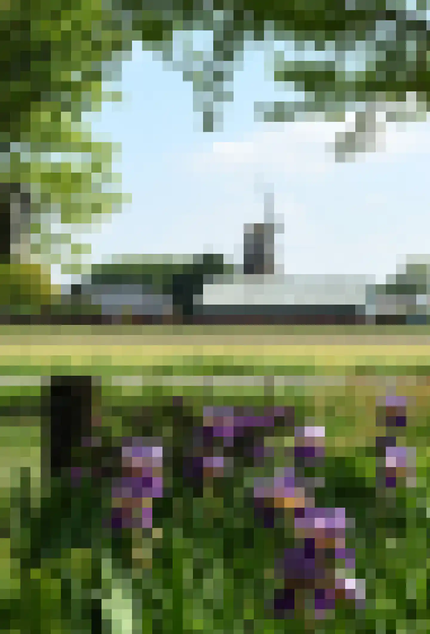 Puurveenseweg 31 Kootwijkerbroek thumbnail 36
