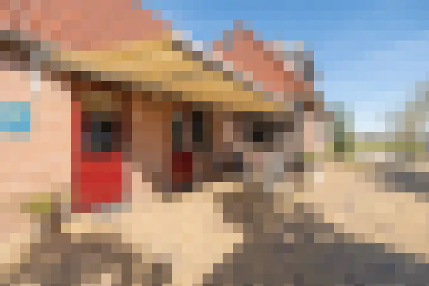 Puurveenseweg 31 Kootwijkerbroek thumbnail 37