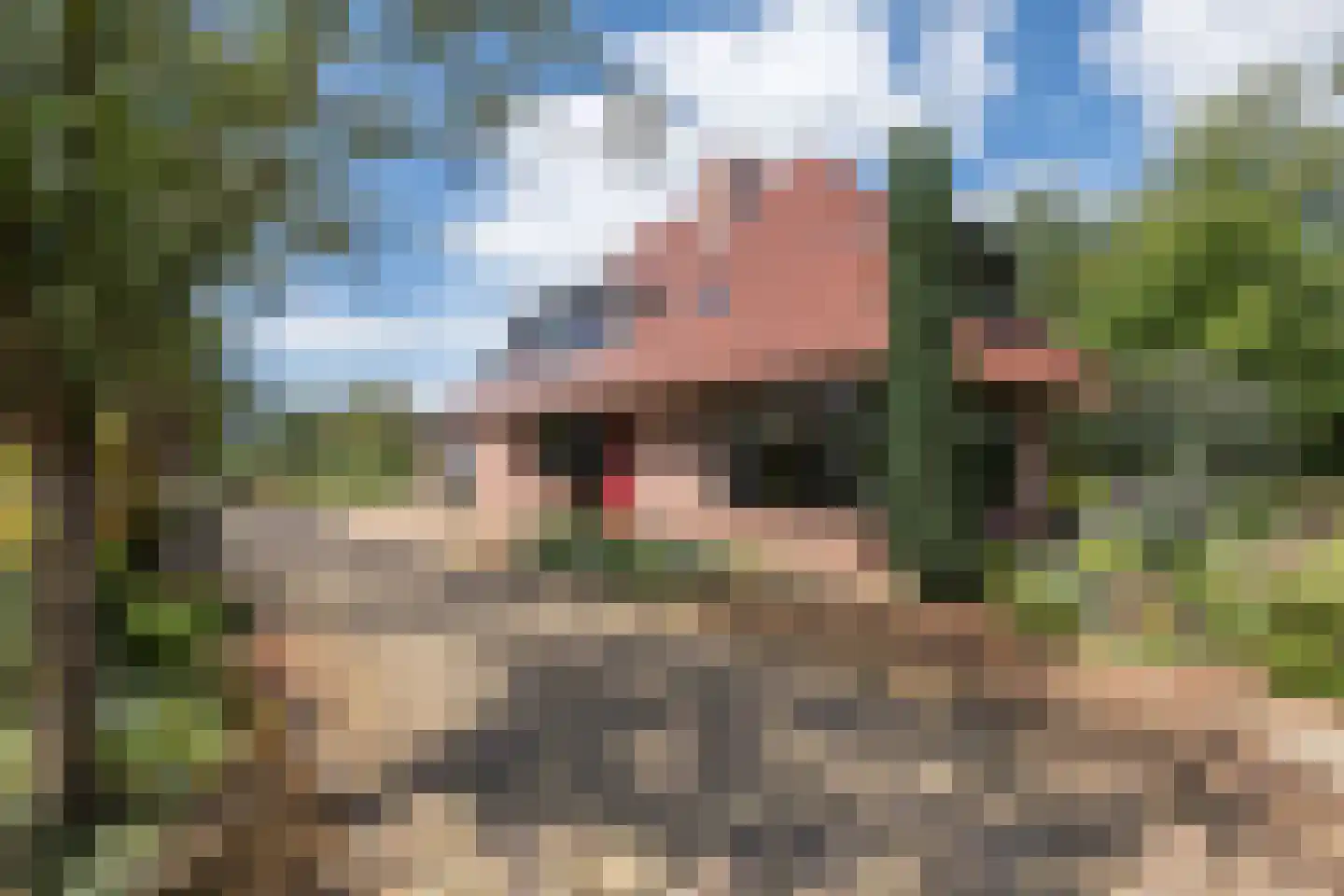Puurveenseweg 31 Kootwijkerbroek thumbnail 37