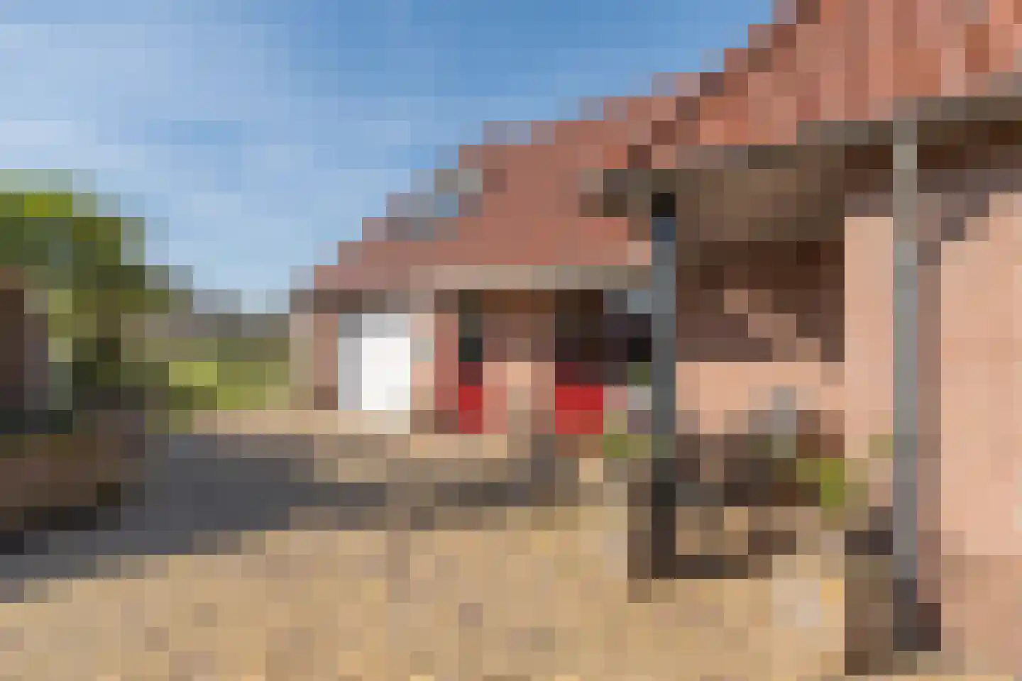 Puurveenseweg 31 Kootwijkerbroek thumbnail 38