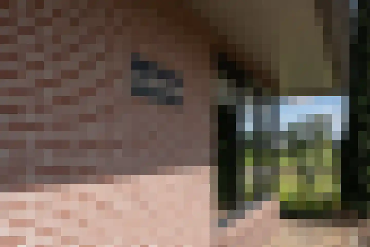 Puurveenseweg 31 Kootwijkerbroek thumbnail 40