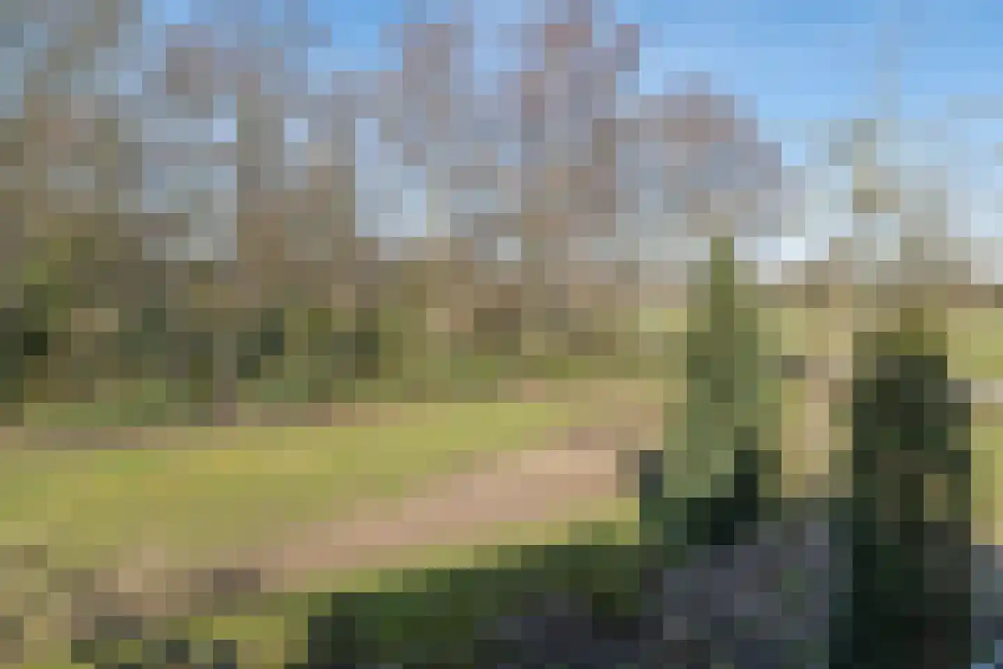 Puurveenseweg 31 Kootwijkerbroek thumbnail 42