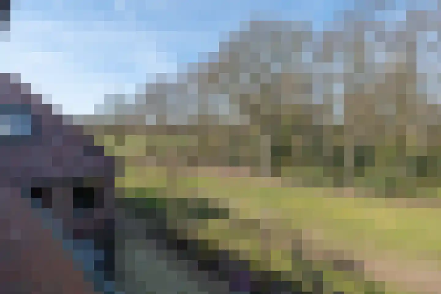Puurveenseweg 31 Kootwijkerbroek thumbnail 44
