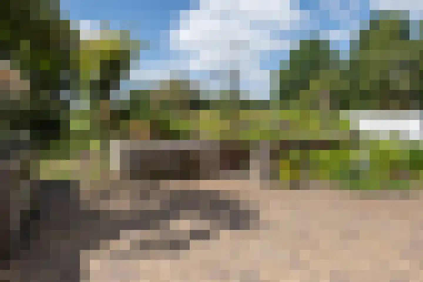 Puurveenseweg 31 Kootwijkerbroek thumbnail 46