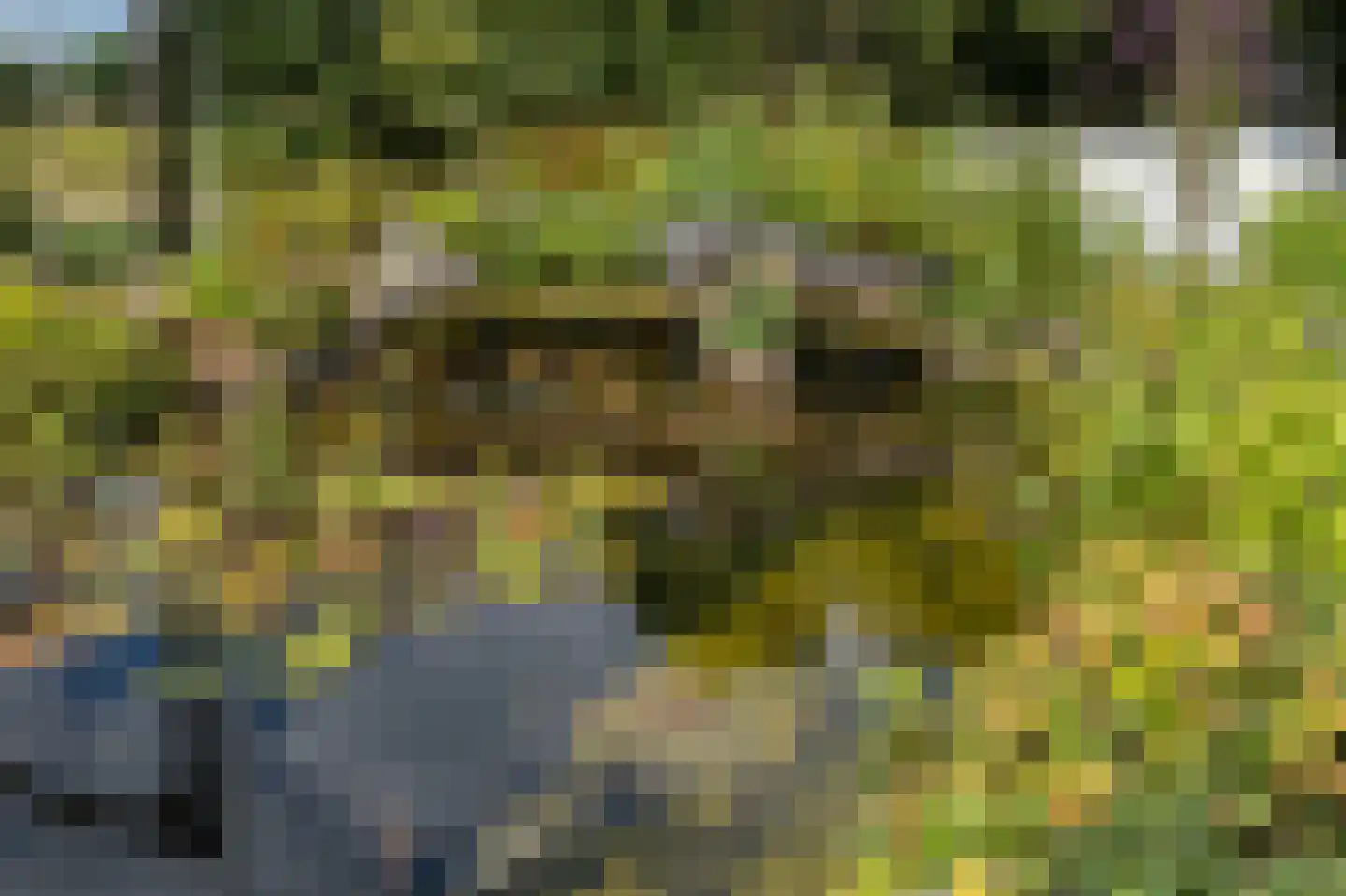 Puurveenseweg 31 Kootwijkerbroek thumbnail 47