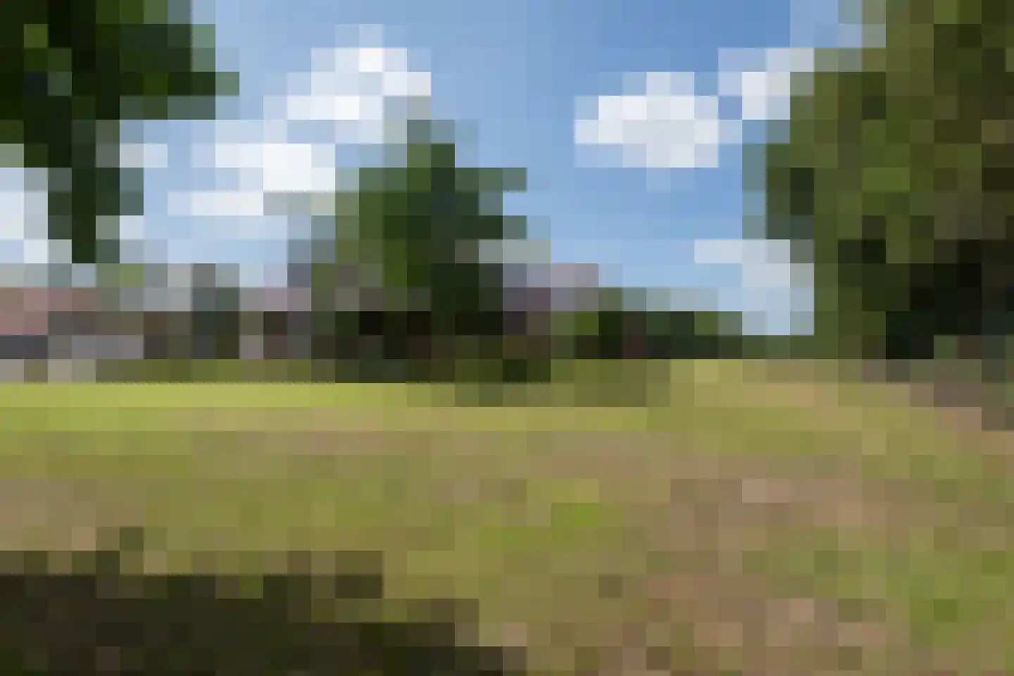 Puurveenseweg 31 Kootwijkerbroek thumbnail 48