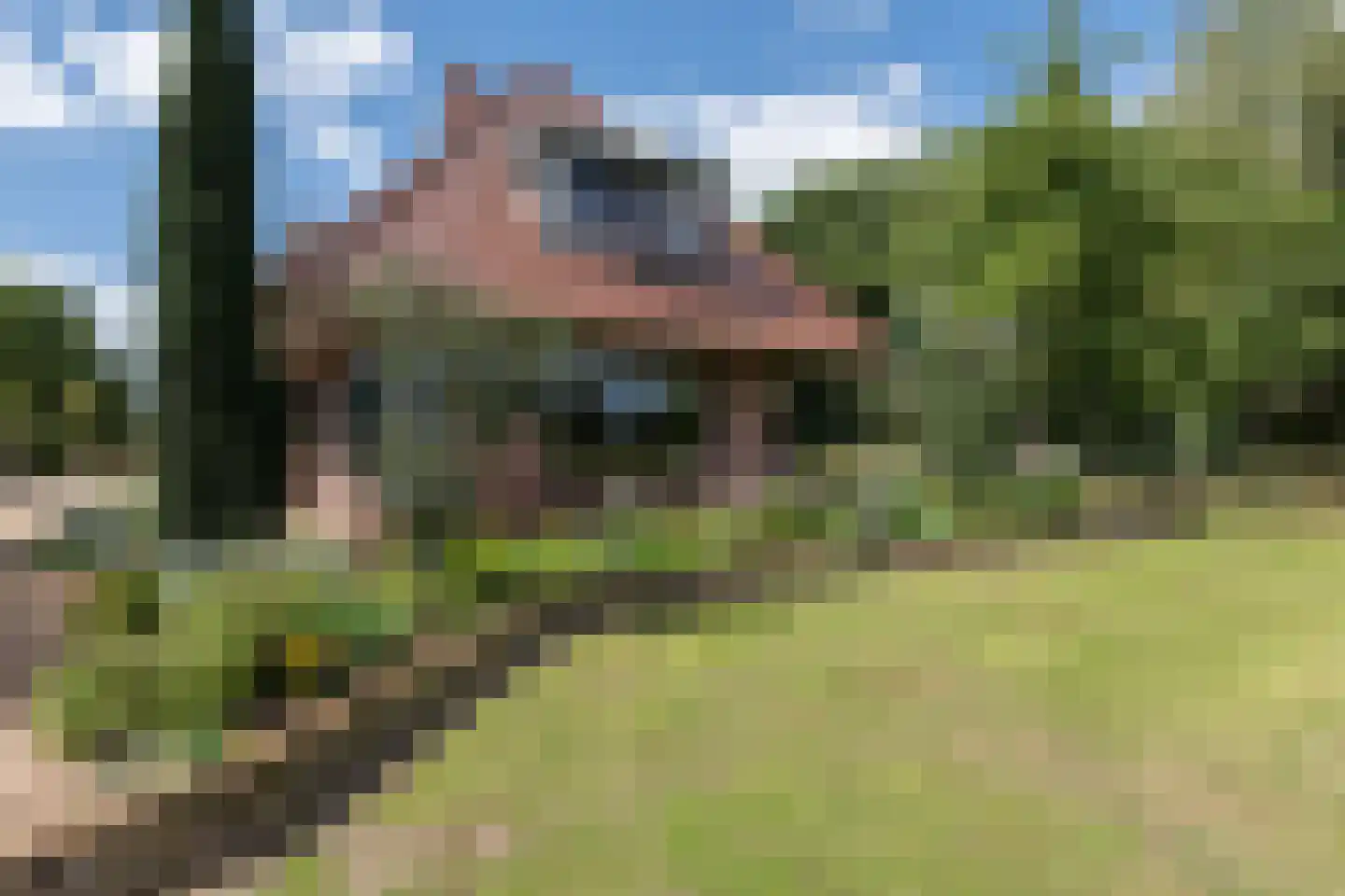 Puurveenseweg 31 Kootwijkerbroek thumbnail 54