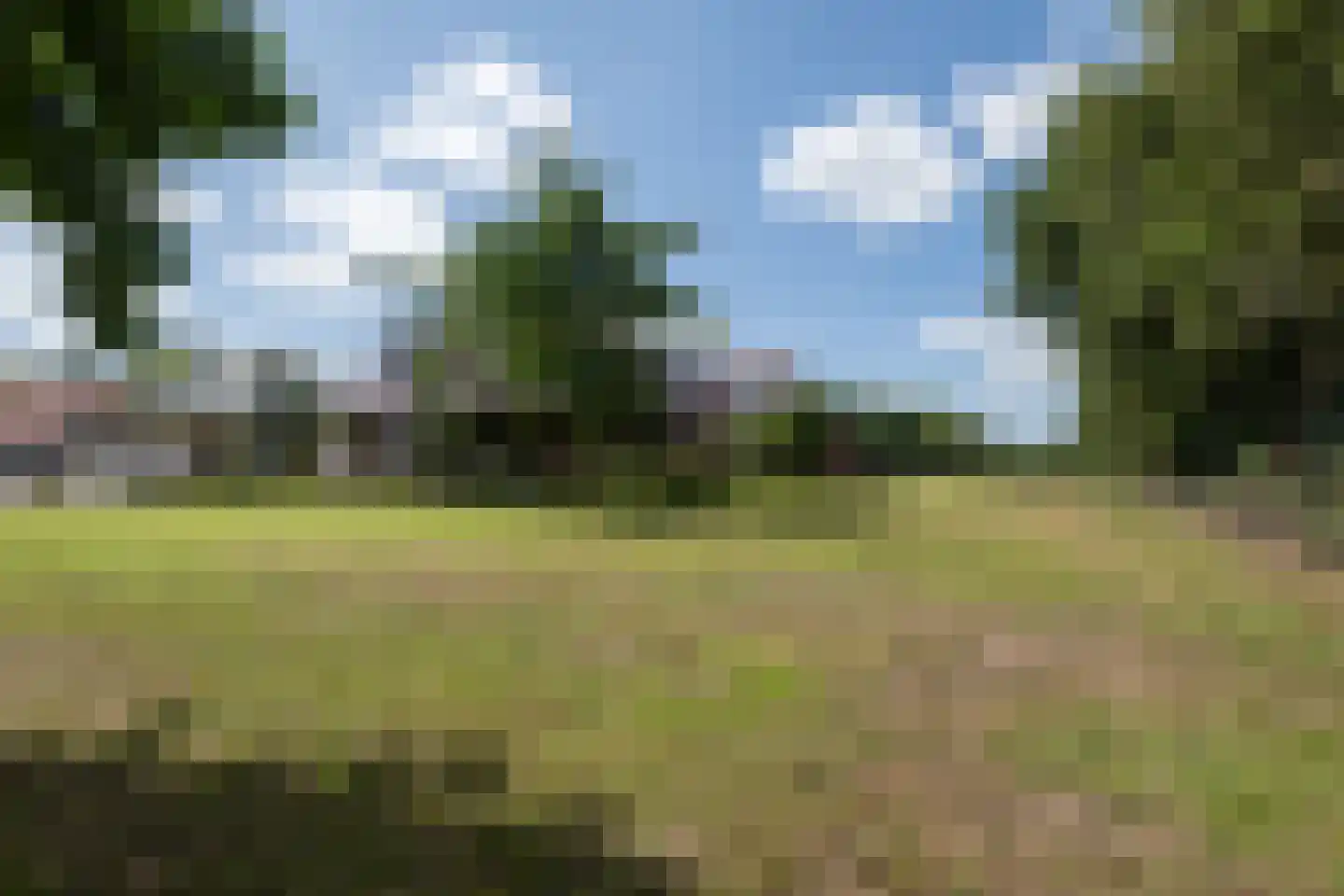 Puurveenseweg 31 Kootwijkerbroek thumbnail 6