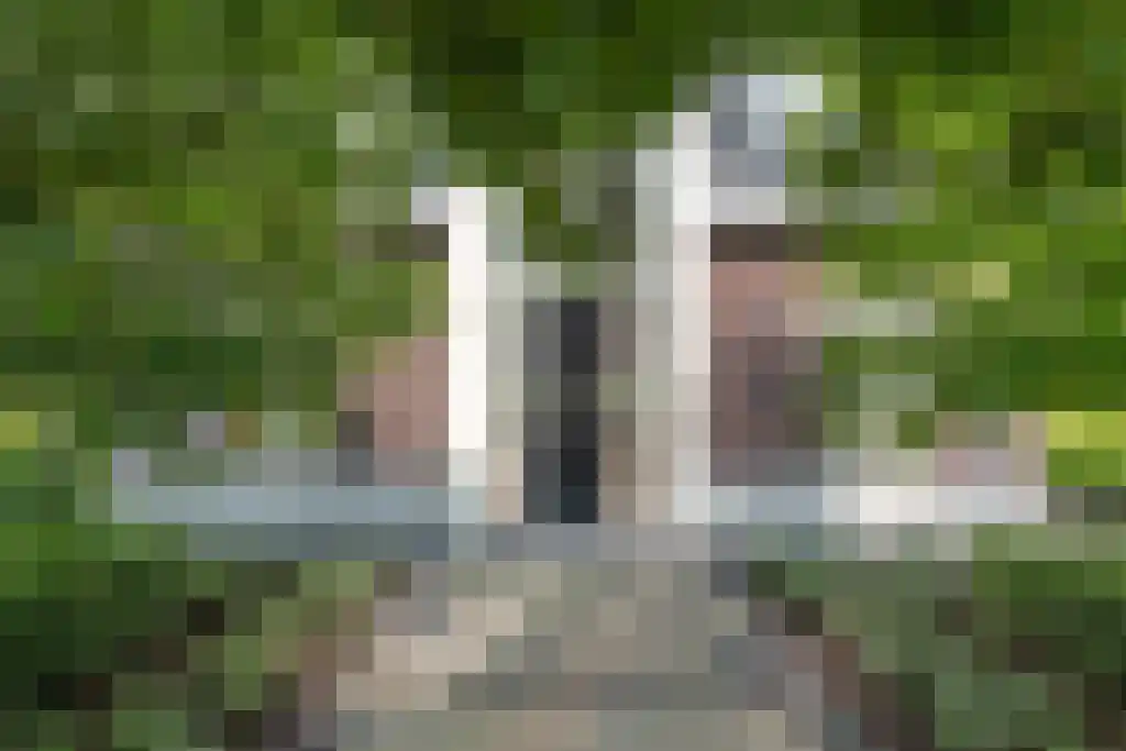 Puurveenseweg 35 Kootwijkerbroek thumbnail 44