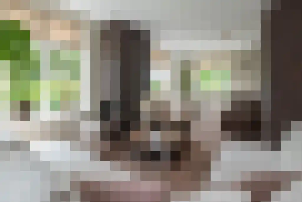 Puurveenseweg 35 Kootwijkerbroek thumbnail 6