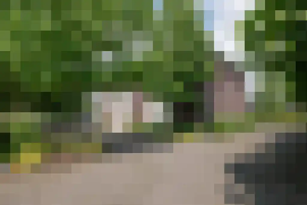 Puurveenseweg 35 Kootwijkerbroek thumbnail 77