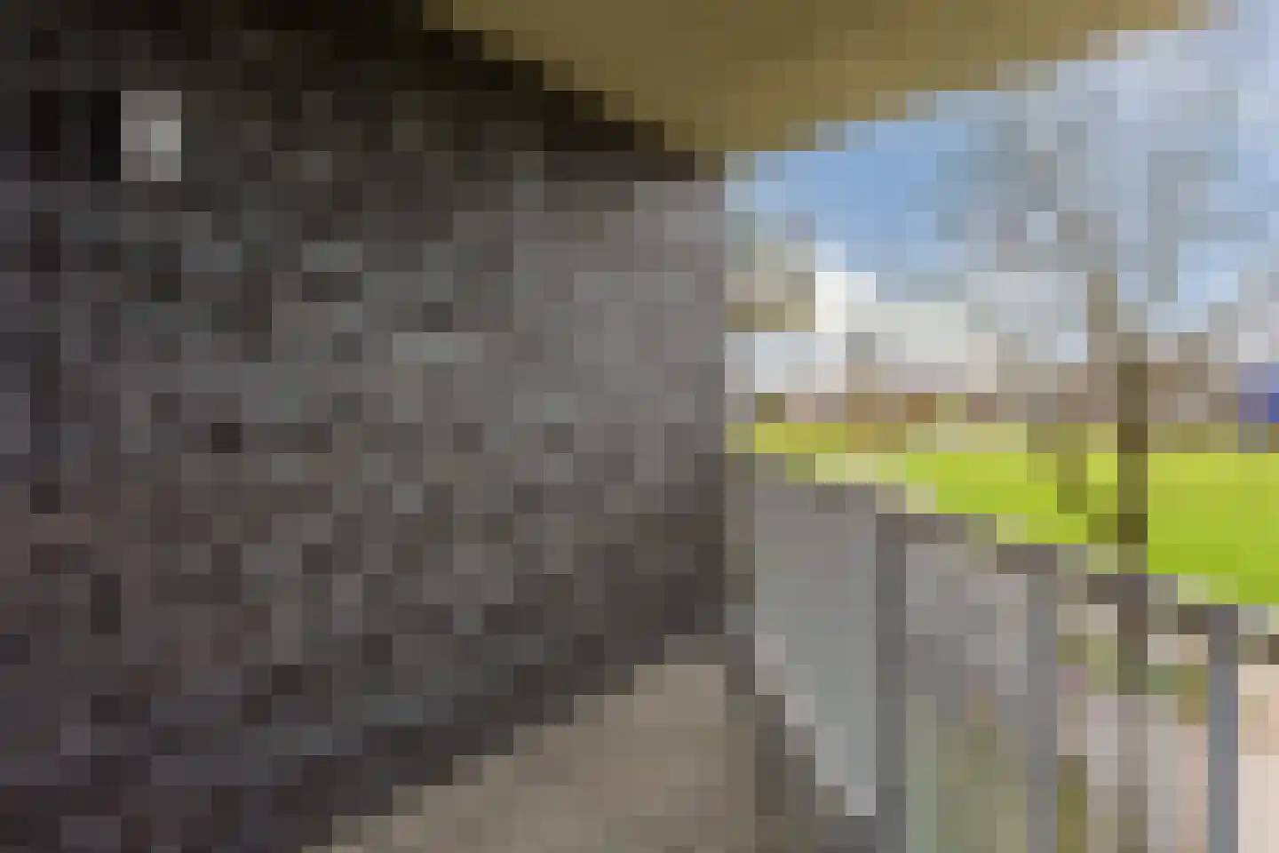 Pygmalionstraat 106 Almere thumbnail 11