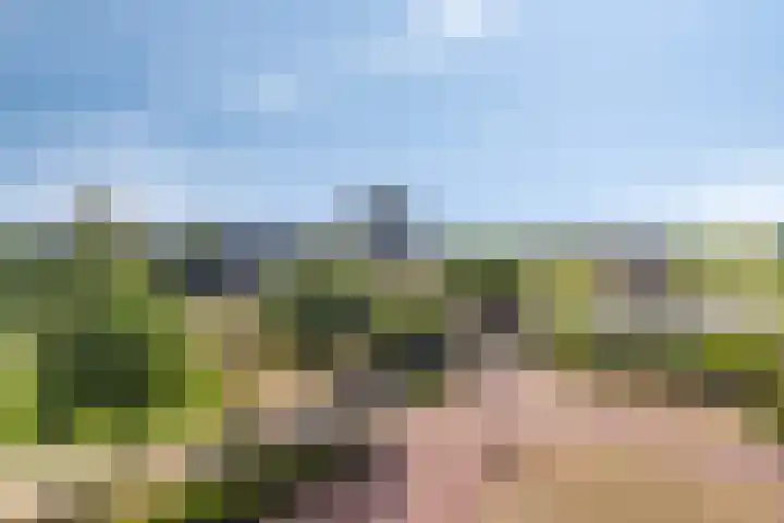Pygmalionstraat 122 Almere thumbnail 6