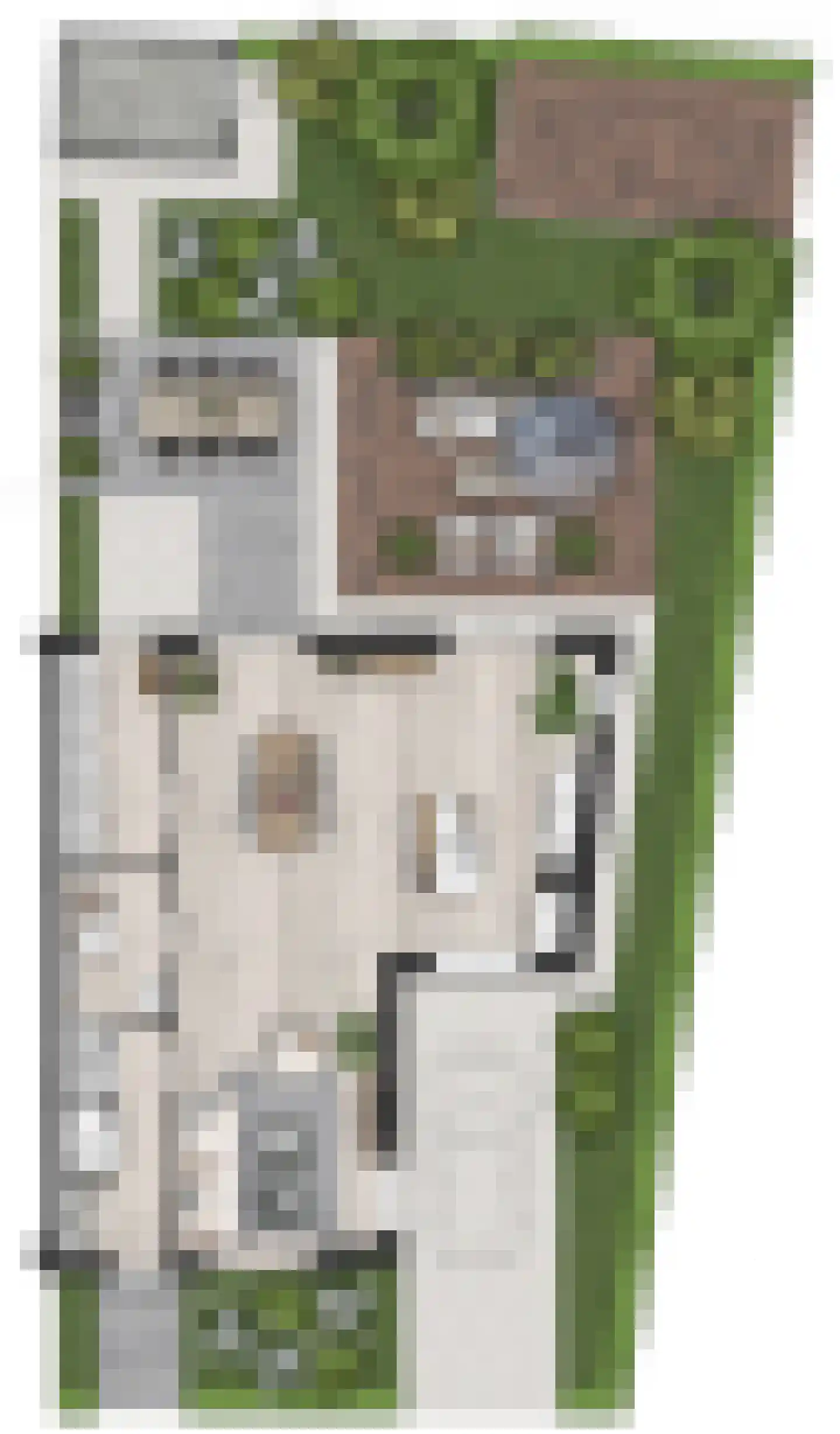 Pykeswegje 20 Goes thumbnail 10