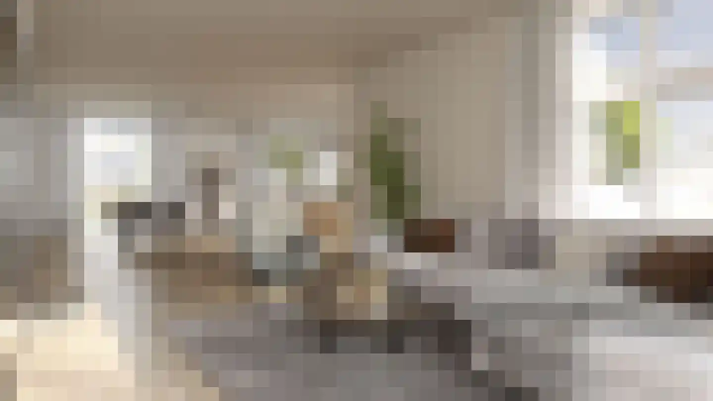 Pykeswegje 20 Goes thumbnail 6