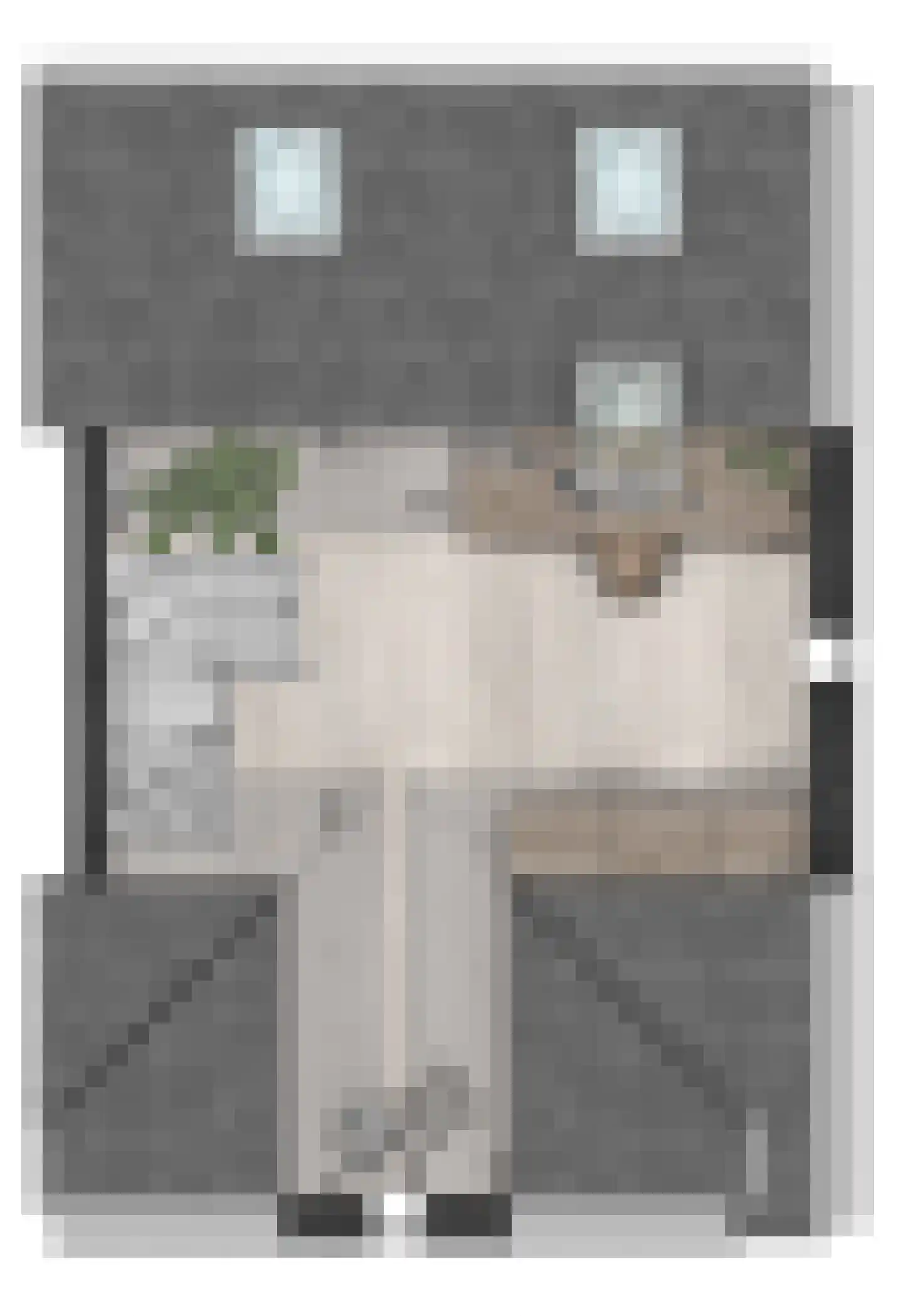Pykeswegje 20 Goes thumbnail 9