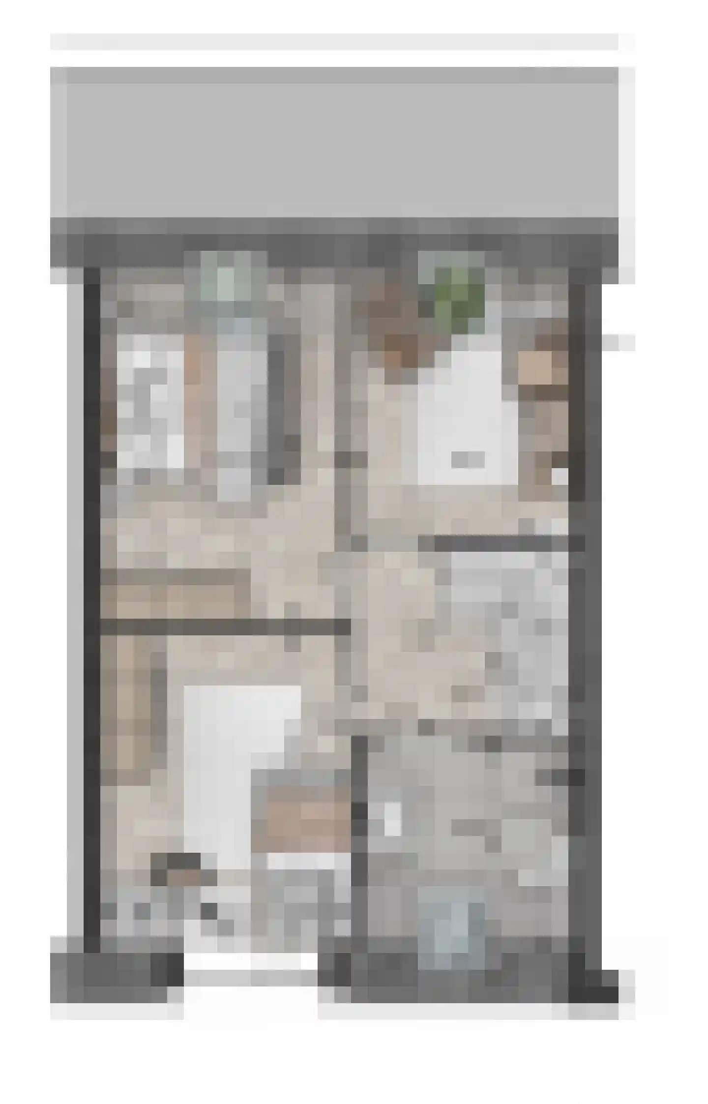 Pykeswegje 22 Goes thumbnail 8