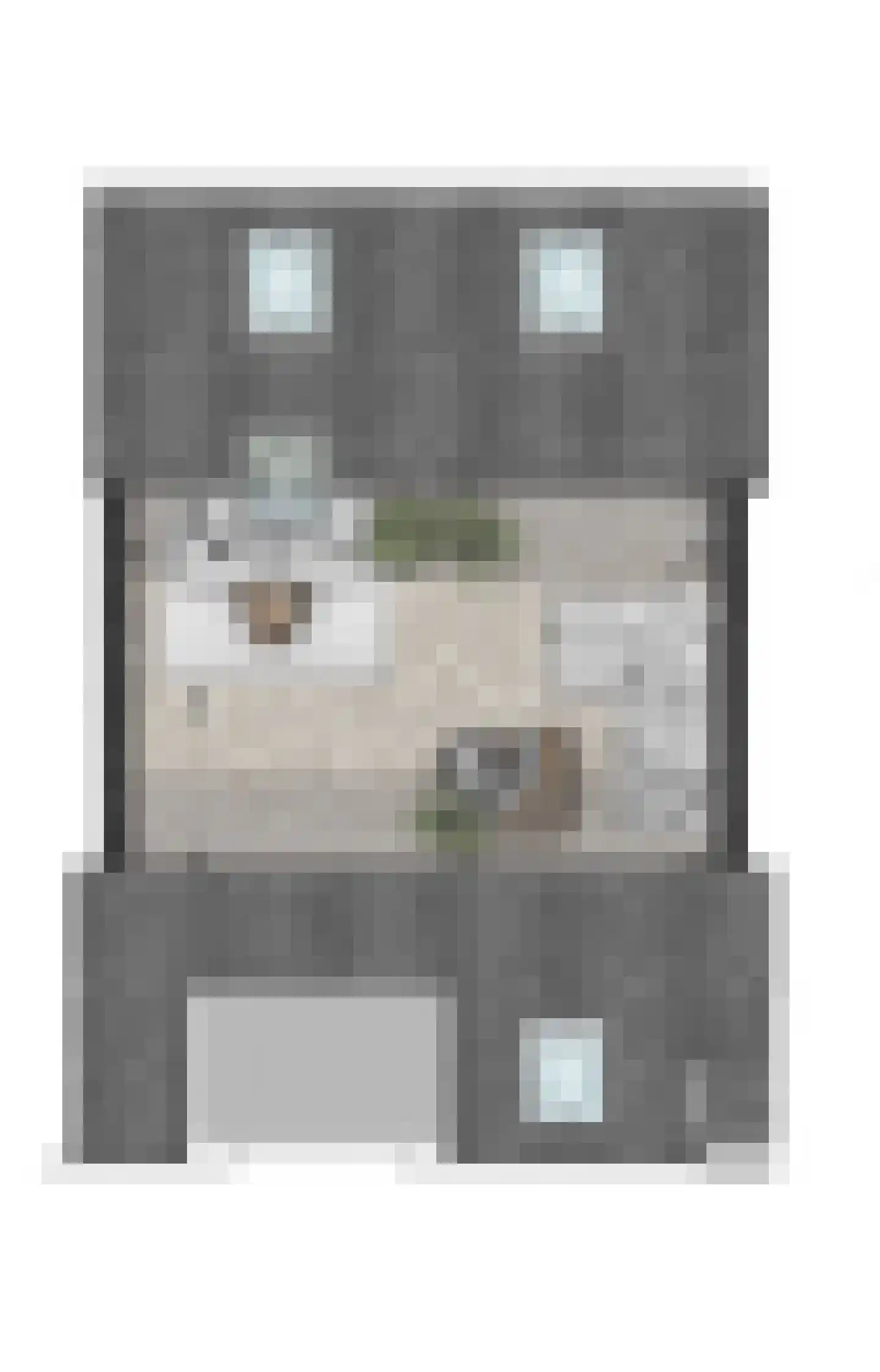 Pykeswegje 22 Goes thumbnail 9