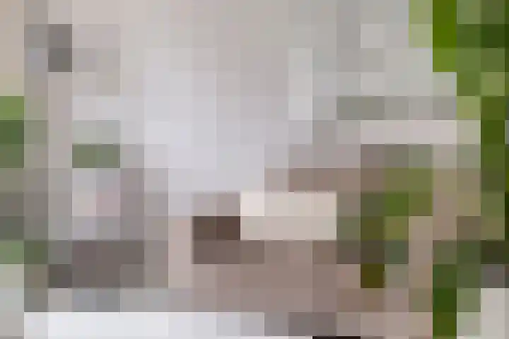 Pykeswegje 25 en Goes