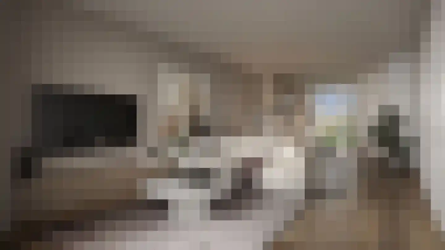 Pykeswegje 26 Goes thumbnail 4