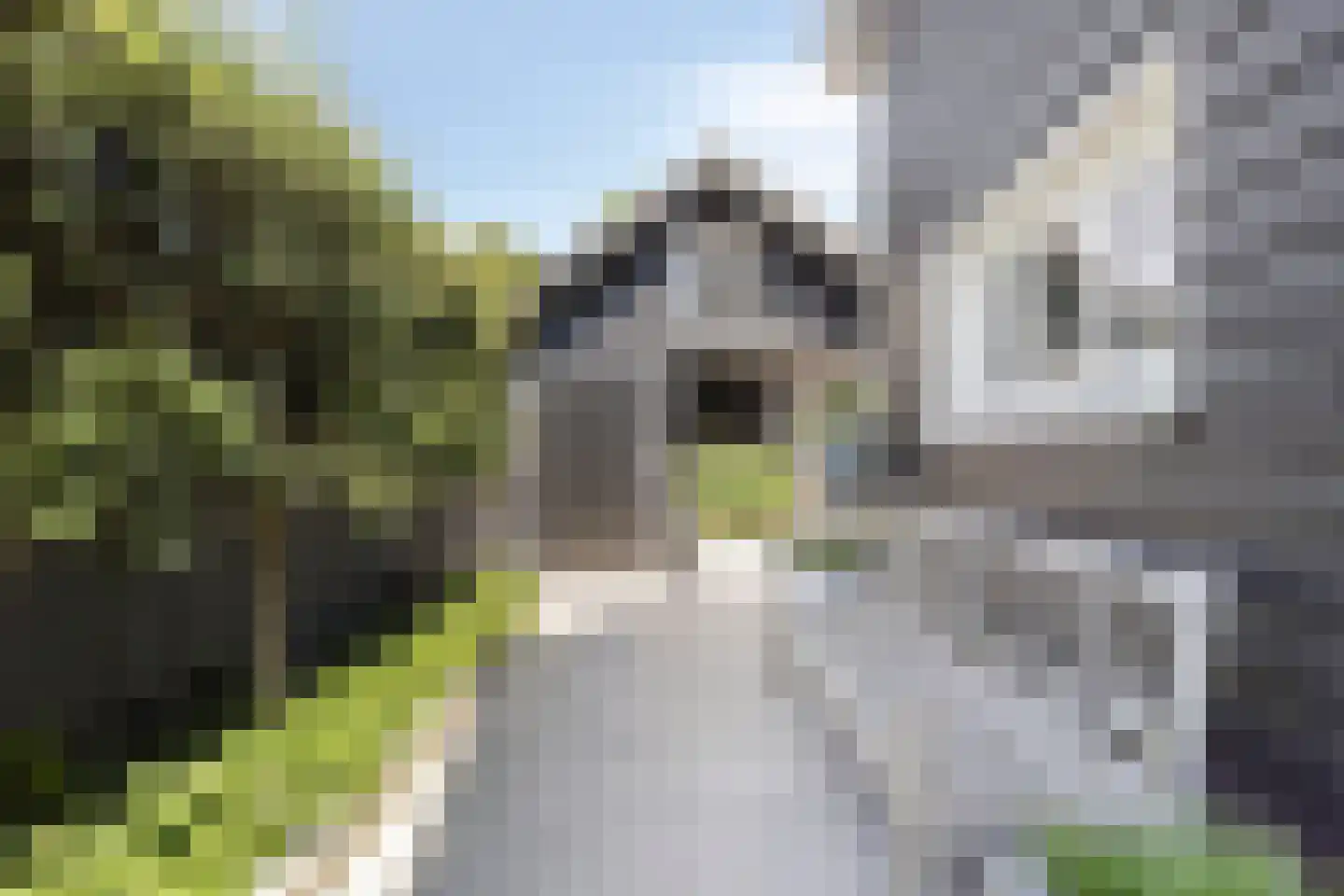 Pykeswegje 61 Goes thumbnail 10