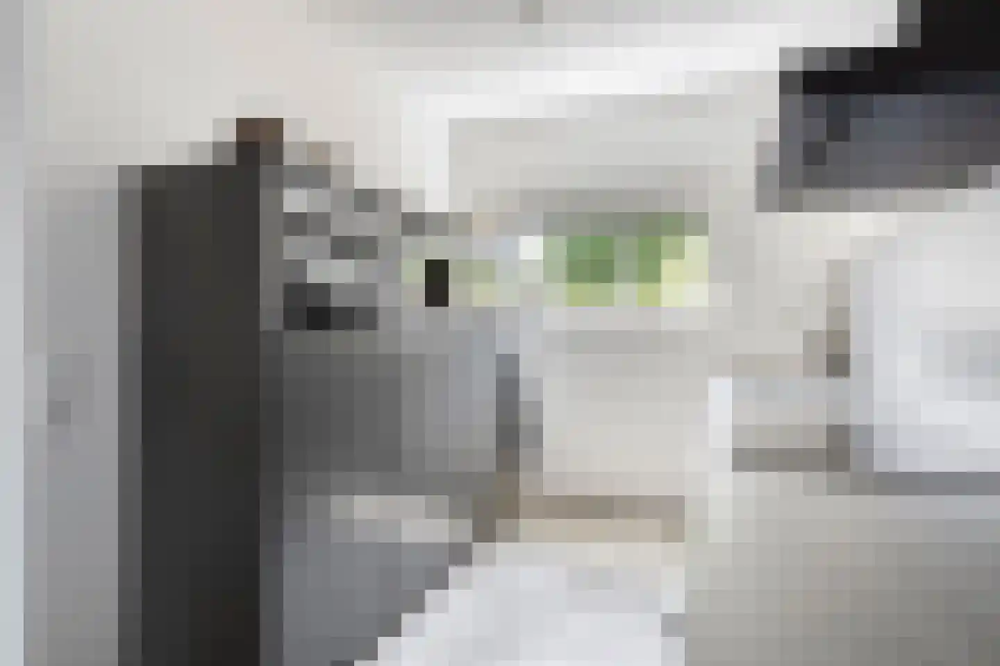 Pykeswegje 61 Goes thumbnail 14