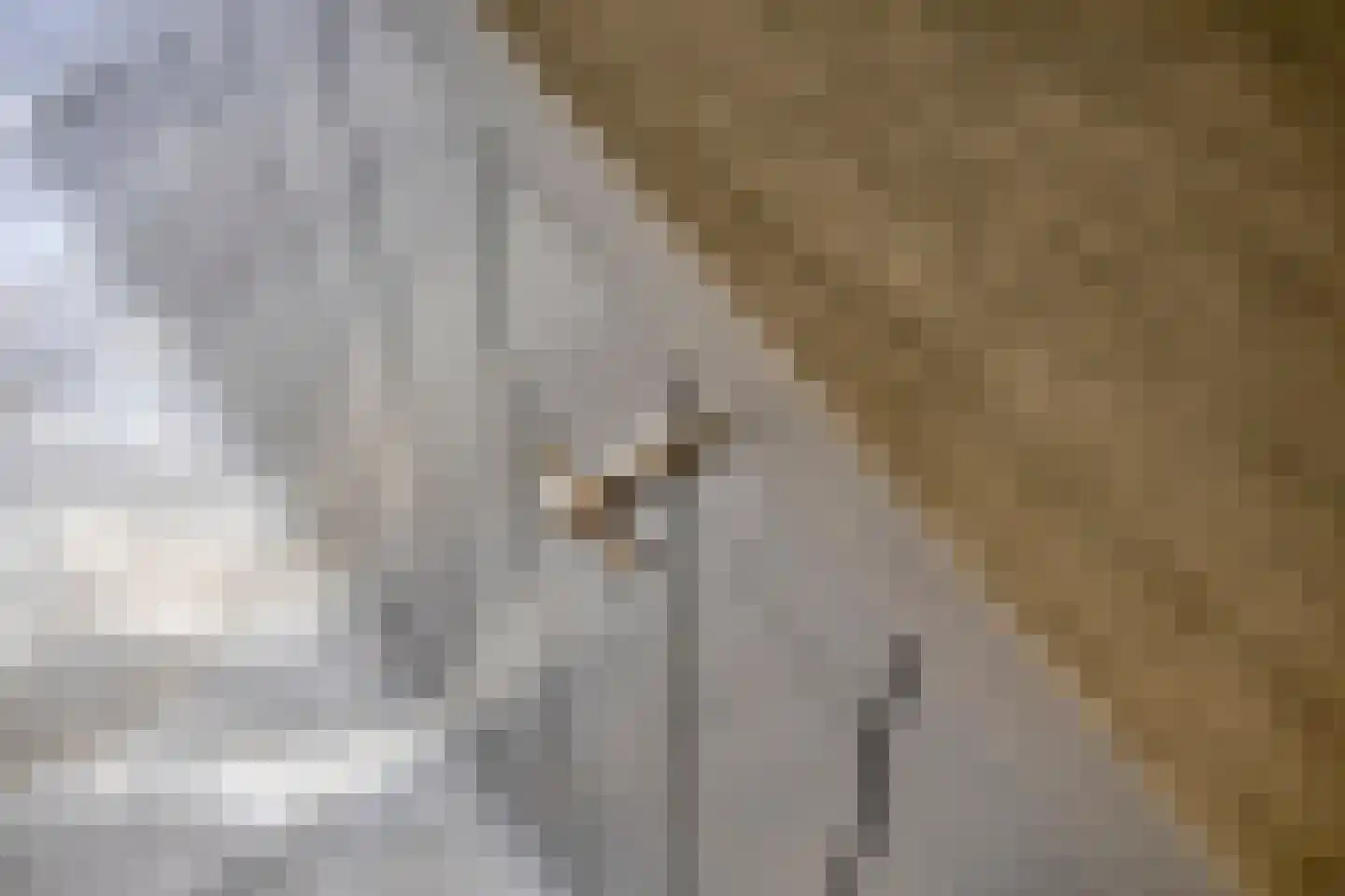 Pykeswegje 61 Goes thumbnail 16