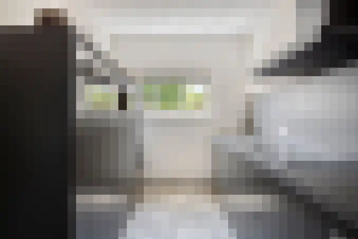 Pykeswegje 61 Goes thumbnail 17