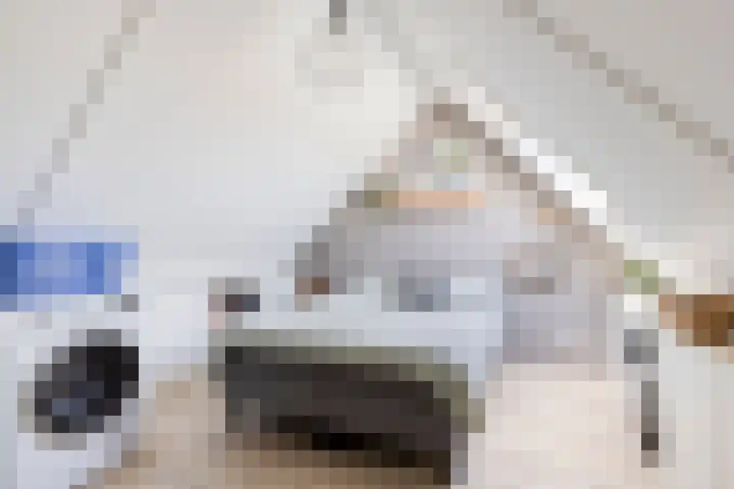 Pykeswegje 61 Goes thumbnail 30