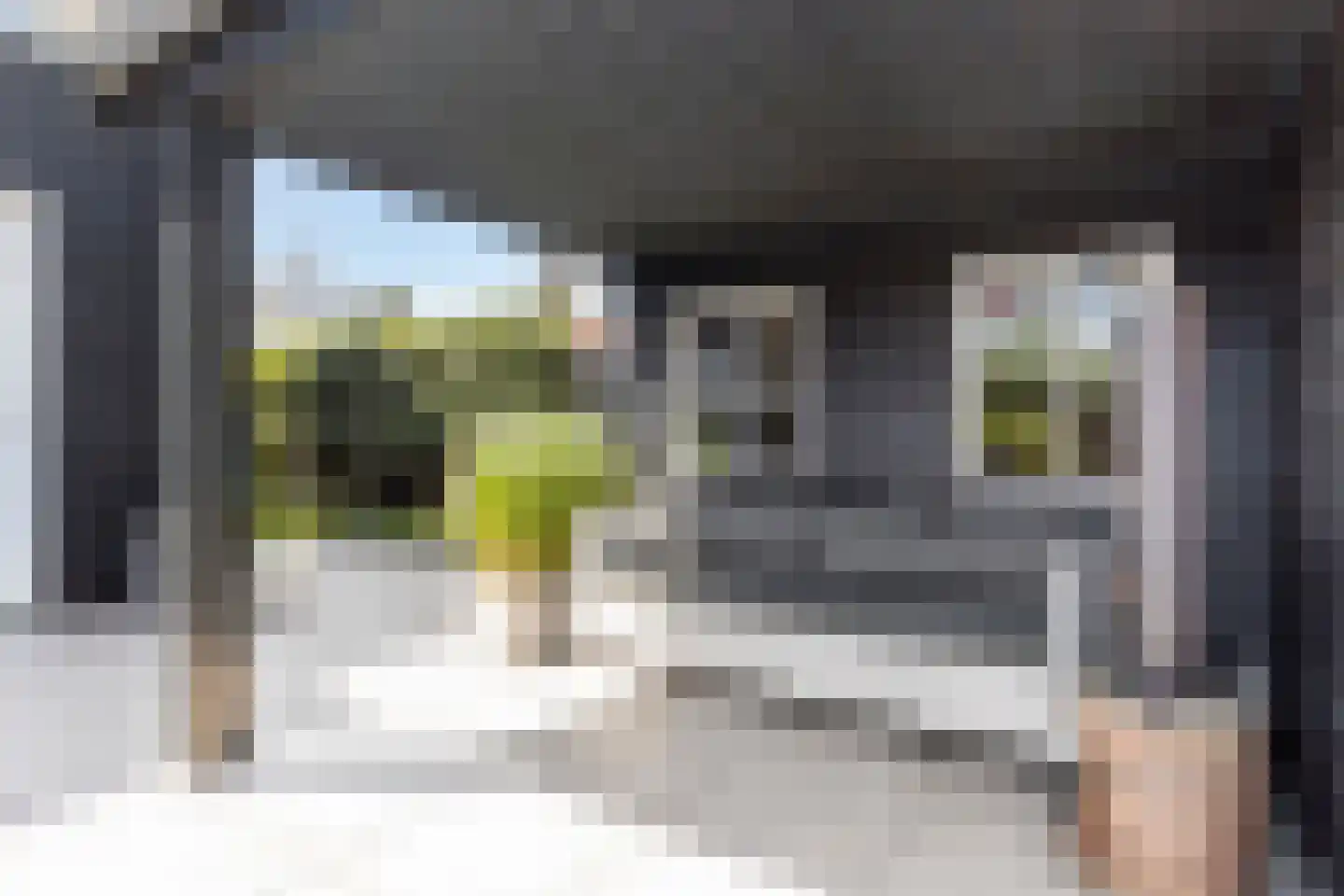 Pykeswegje 61 Goes thumbnail 36