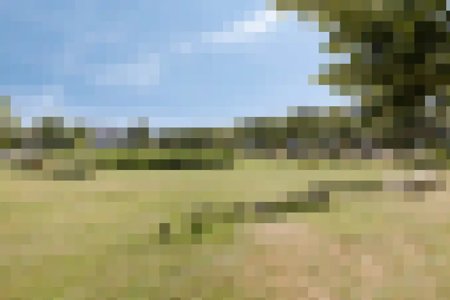 Pykeswegje 61 Goes thumbnail 41