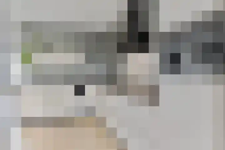 Pykeswegje 86 Goes thumbnail 10