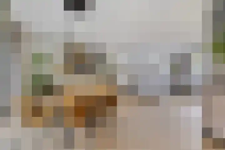 Pykeswegje 86 Goes thumbnail 11