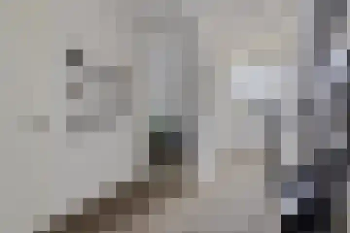 Pykeswegje 86 Goes thumbnail 15
